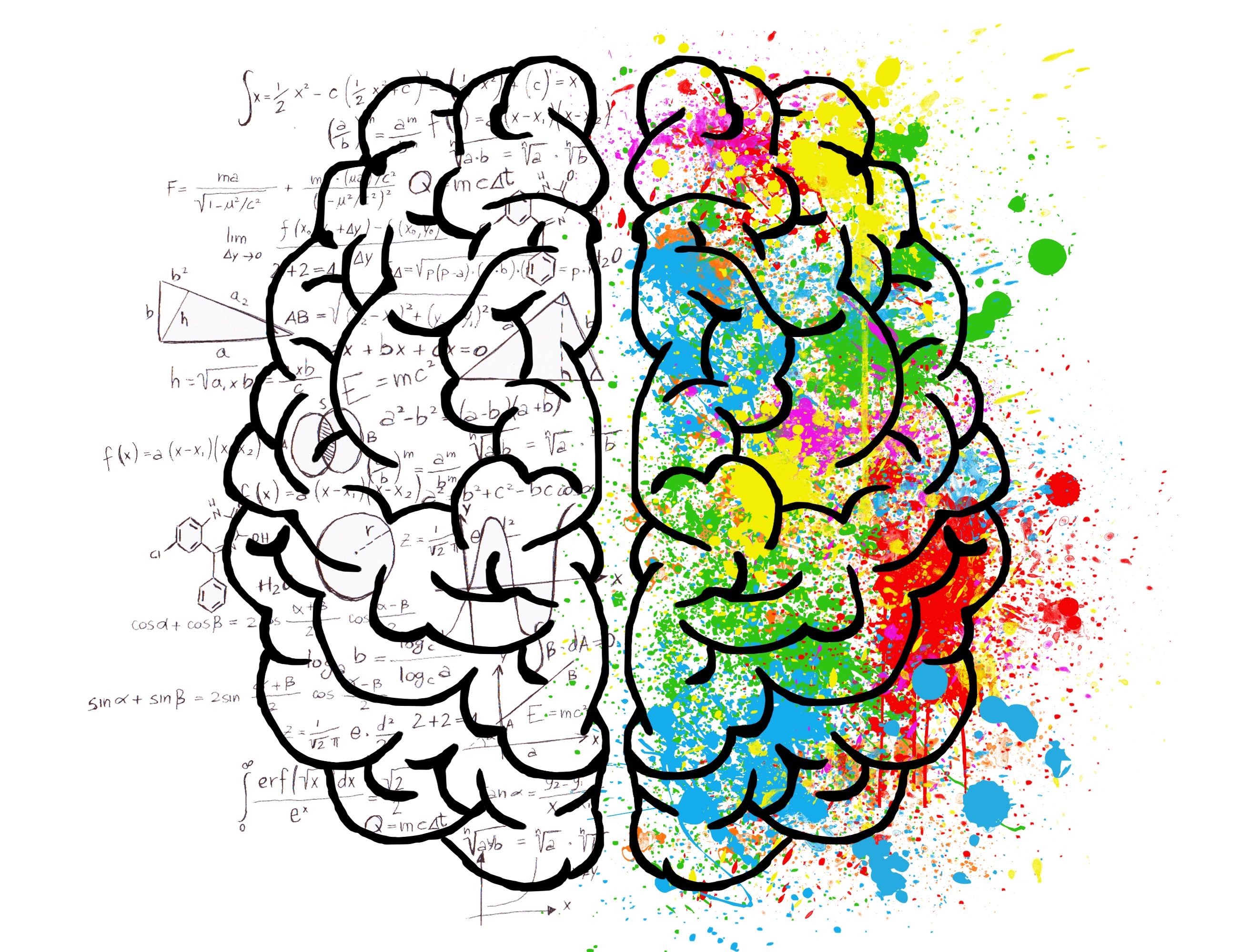 Counseling and HR programs
